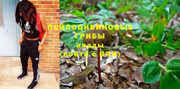 бошки Алексеевка