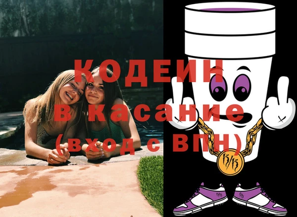 PSILOCYBIN Алзамай