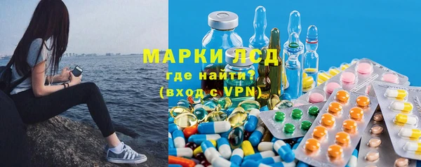 PSILOCYBIN Алзамай