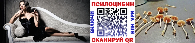 Галлюциногенные грибы Psilocybine cubensis  Конаково 